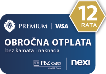 Visa 12